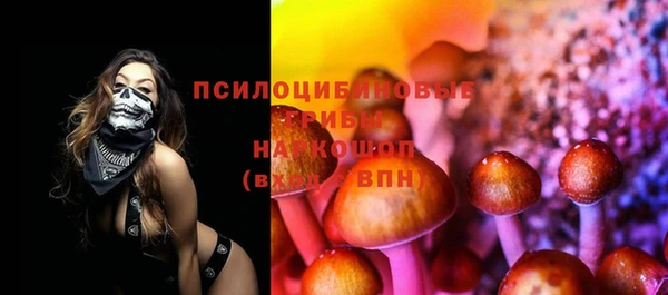 амф Заводоуковск