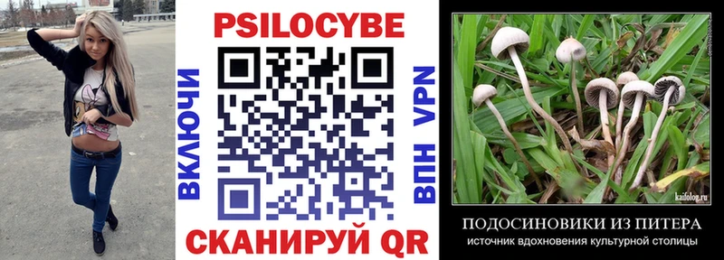 Псилоцибиновые грибы GOLDEN TEACHER  Ишимбай 